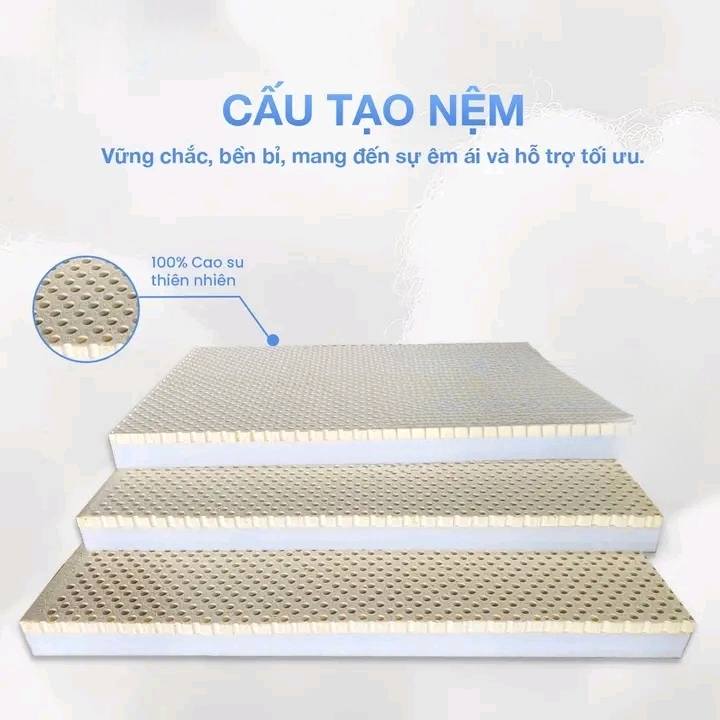 489168143 1460017638302570 5624064018165041665 n